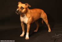 /album/ivory/img-9081-jpg/